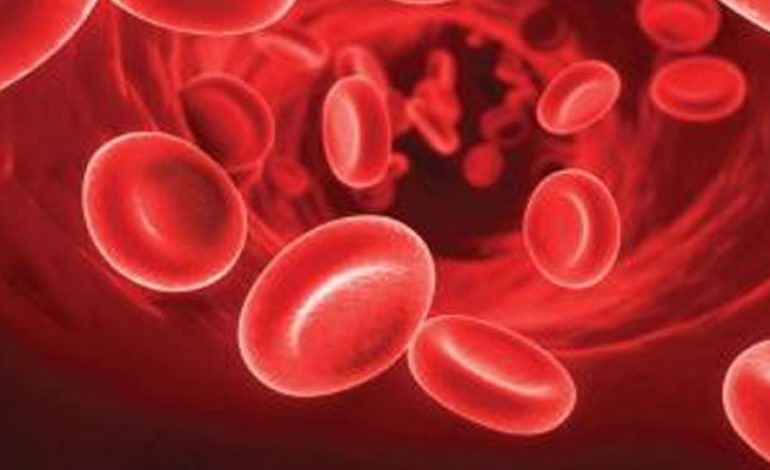 Τι είναι η αιμοφιλία; Αιτίες – Συμπτώματα – Θεραπεία / Νόσος von Willebrand